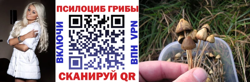 Галлюциногенные грибы ЛСД  Юрьев-Польский 